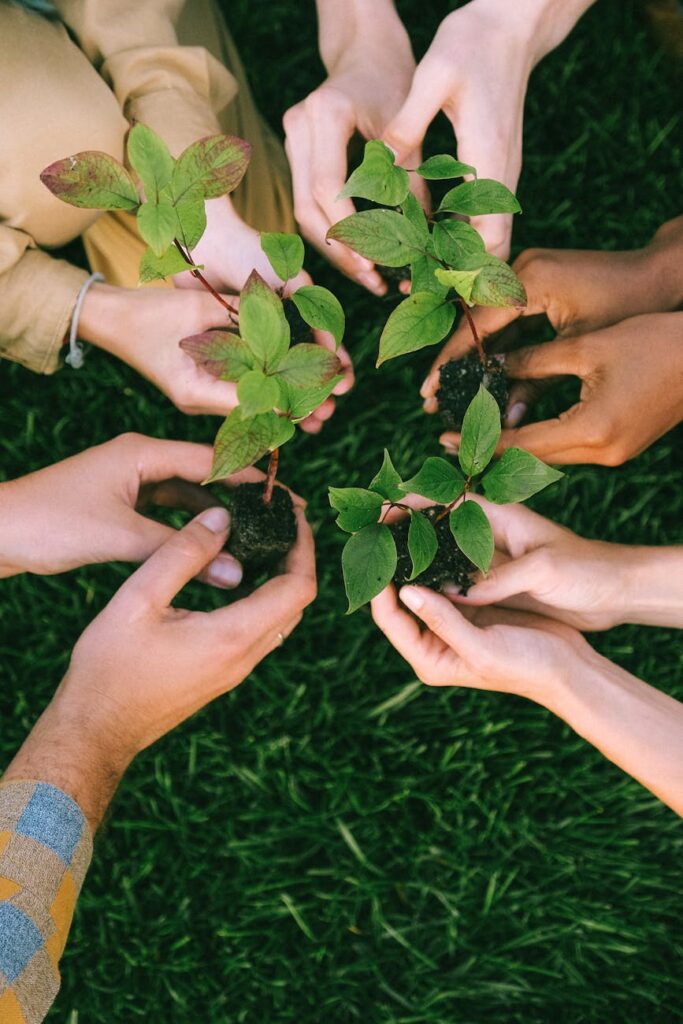 hands holding green plants